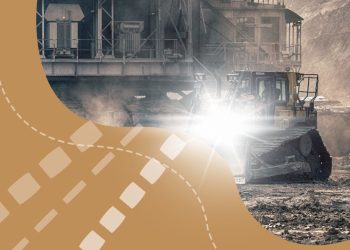 Judge who refused to audit ZCMC declared a large amount of assets